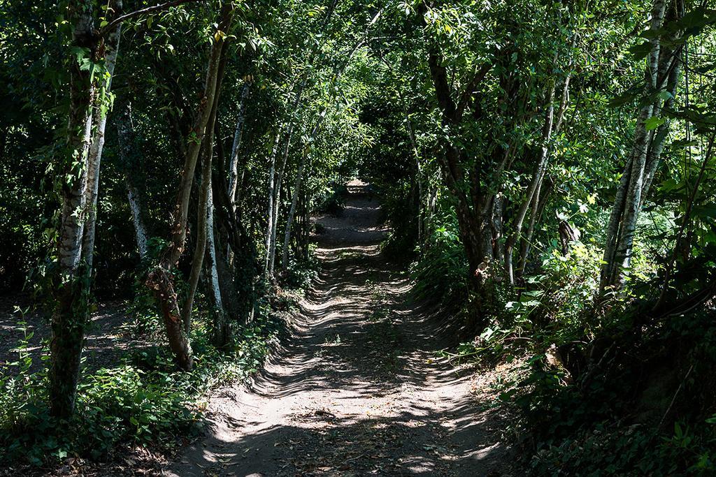 Quinta De Sao Miguel Διαμέρισμα Viseu Εξωτερικό φωτογραφία