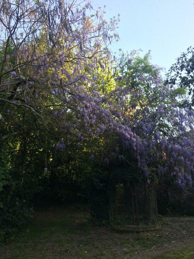 Quinta De Sao Miguel Διαμέρισμα Viseu Εξωτερικό φωτογραφία